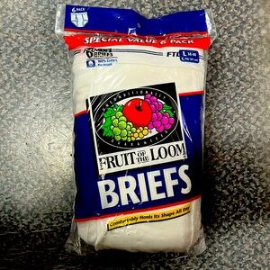 Fruit of The Loom Vintage Briefs Large 6 Pack New